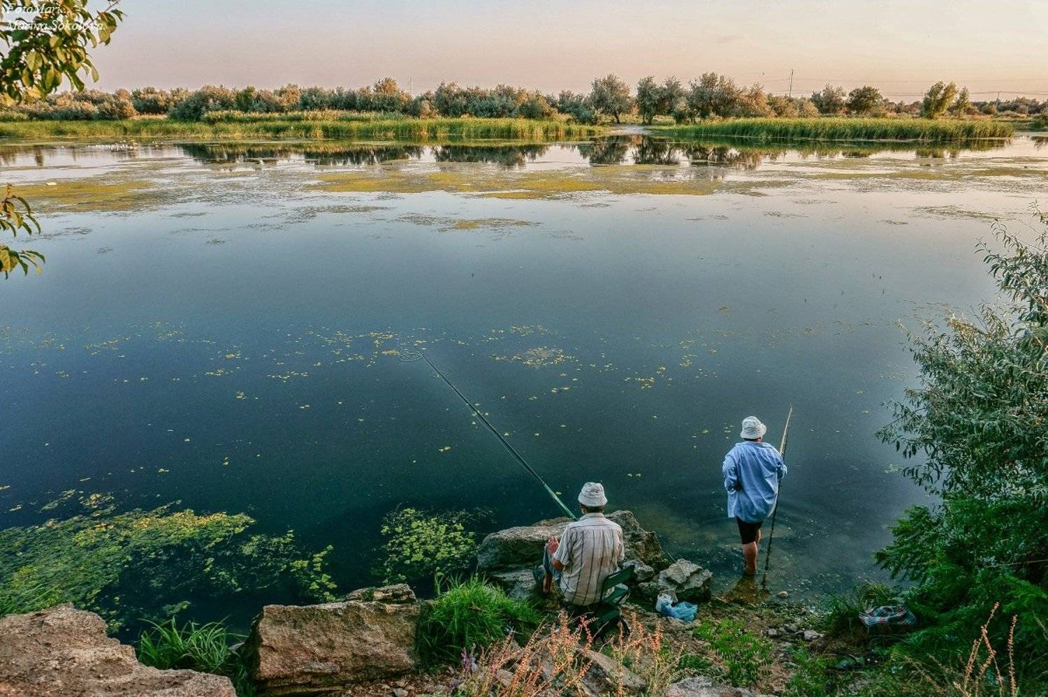 , Марина Соколова