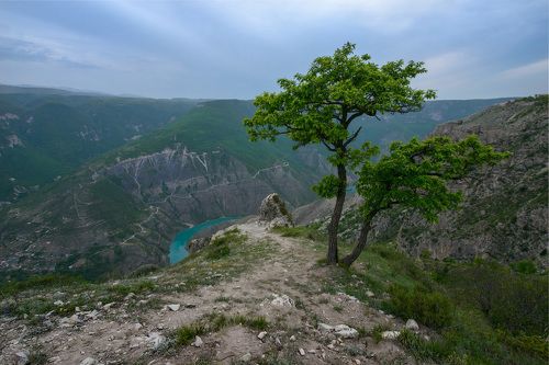 Сумерки
