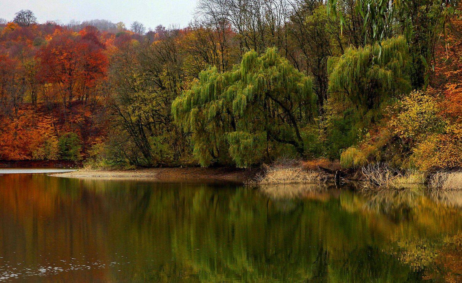 озеро,деревья,кабардино балкария, Marat Magov
