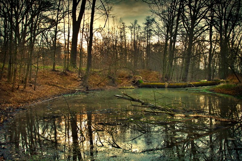 Ghosts and harpies ...;) фото превью