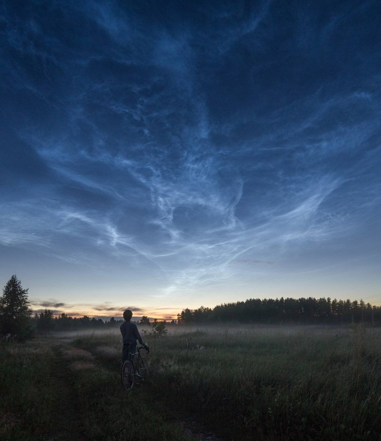 ночь велосипед туман лес серебристые облака луна moon night travel cycling, Евгений Озеров