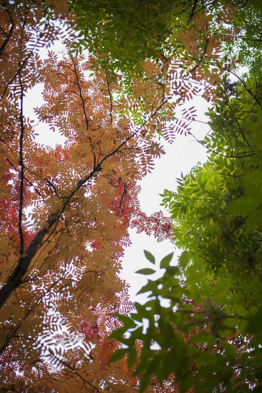 , Бахтин Вячеслав