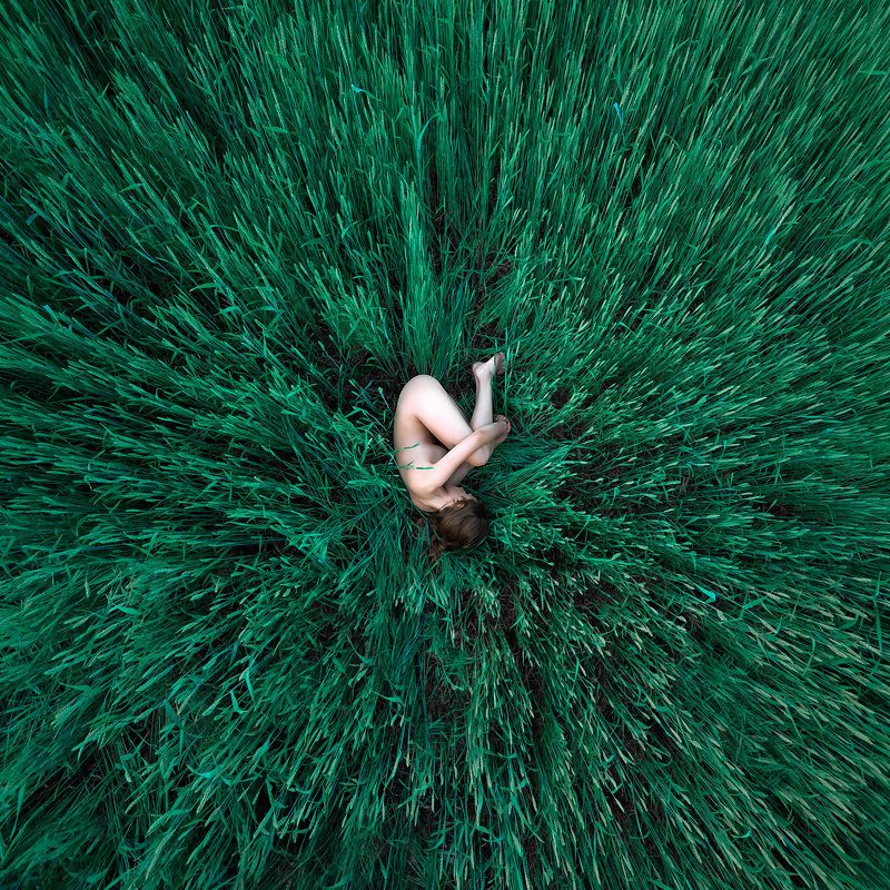 поля фото превью