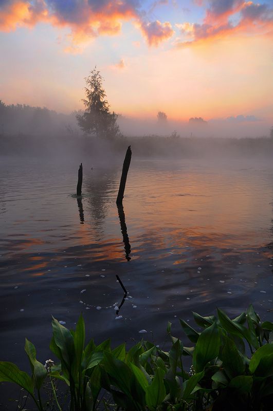 рассвет *** фото превью