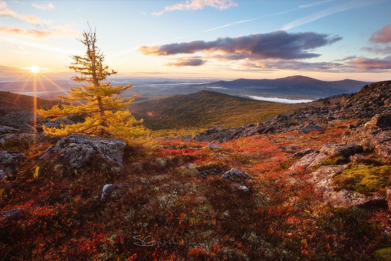 Урал, Северный Урал, Конжак, Серебянский камень Сказ природы о Северном Урале. фото превью
