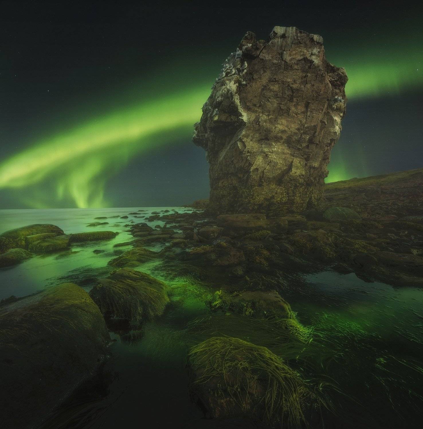 aurora bolearis, северное сияние, кольский  полуостров, белое  море, coast of the white sea, kola peninsula, мыс корабль,аметистовый берег, Васильев Алексей