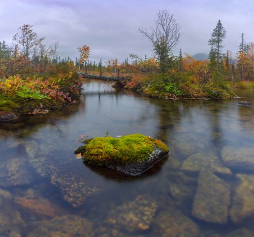 Краски северной осени
