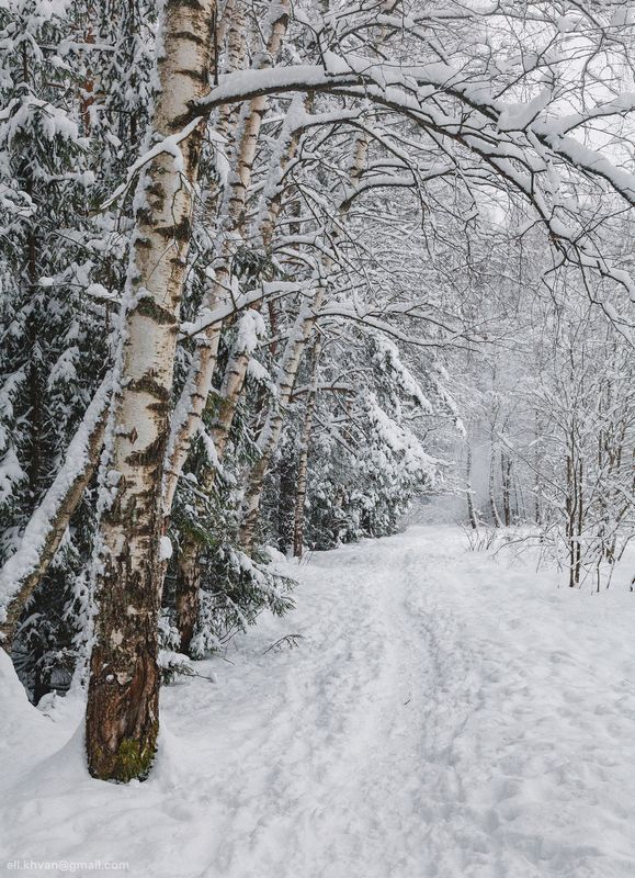 Зима  фото превью
