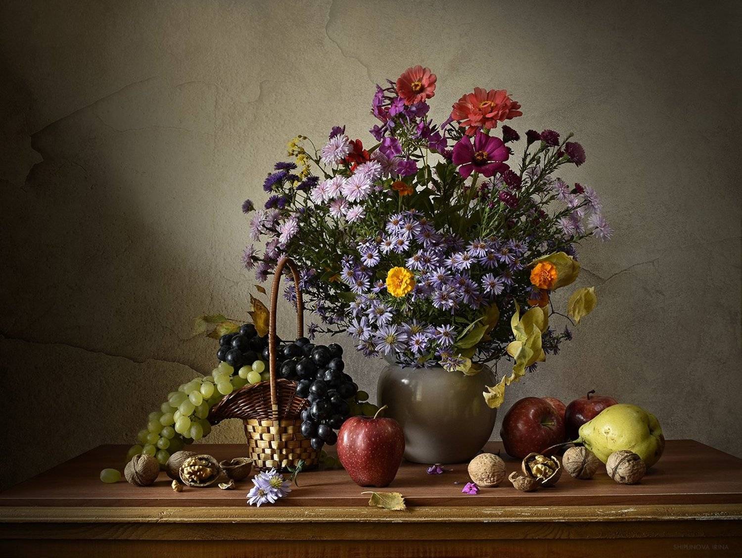 , Шипунова Ирина