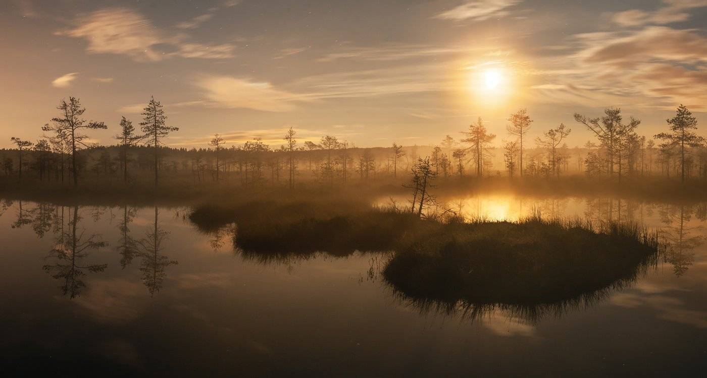 ленинградская область, ленобласть, болото, болота ленинградской области, фотопроект, мир болот, Арсений Кашкаров
