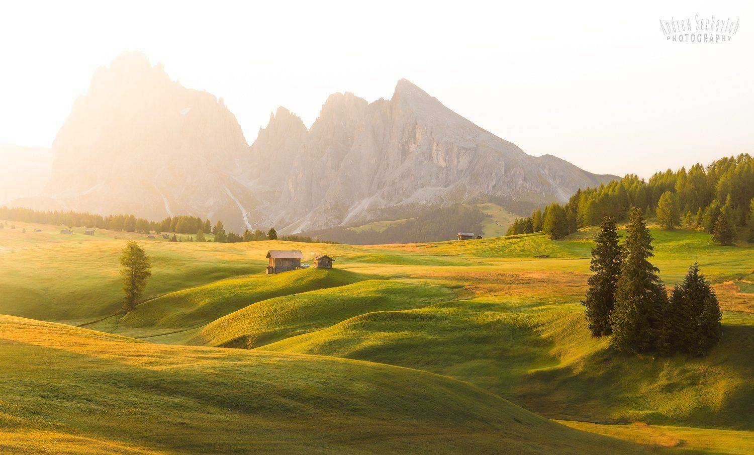 плато, доломиты, август, alpedisiusi, italy, Андрей Сенкевич