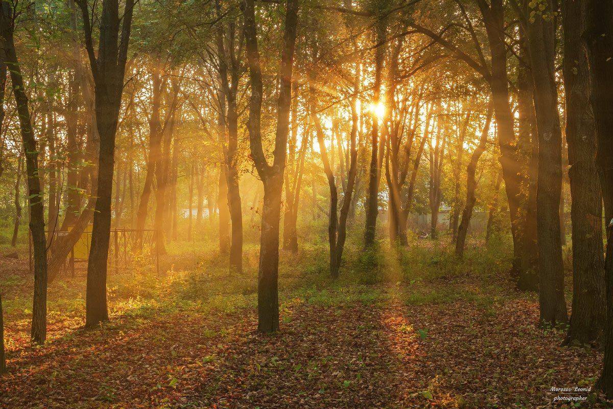 карпаты., украина., зима., пейзаж., снег., карпатский., гора., красивый., небо., природа., дерево., холод., мороз., путешествия., белый., сезон., ель., лес., фон., снежный., горы., зимний., утро., отдых., солнце., лед., изморозь., иней., сцена., синий., с, Леонид Морозов