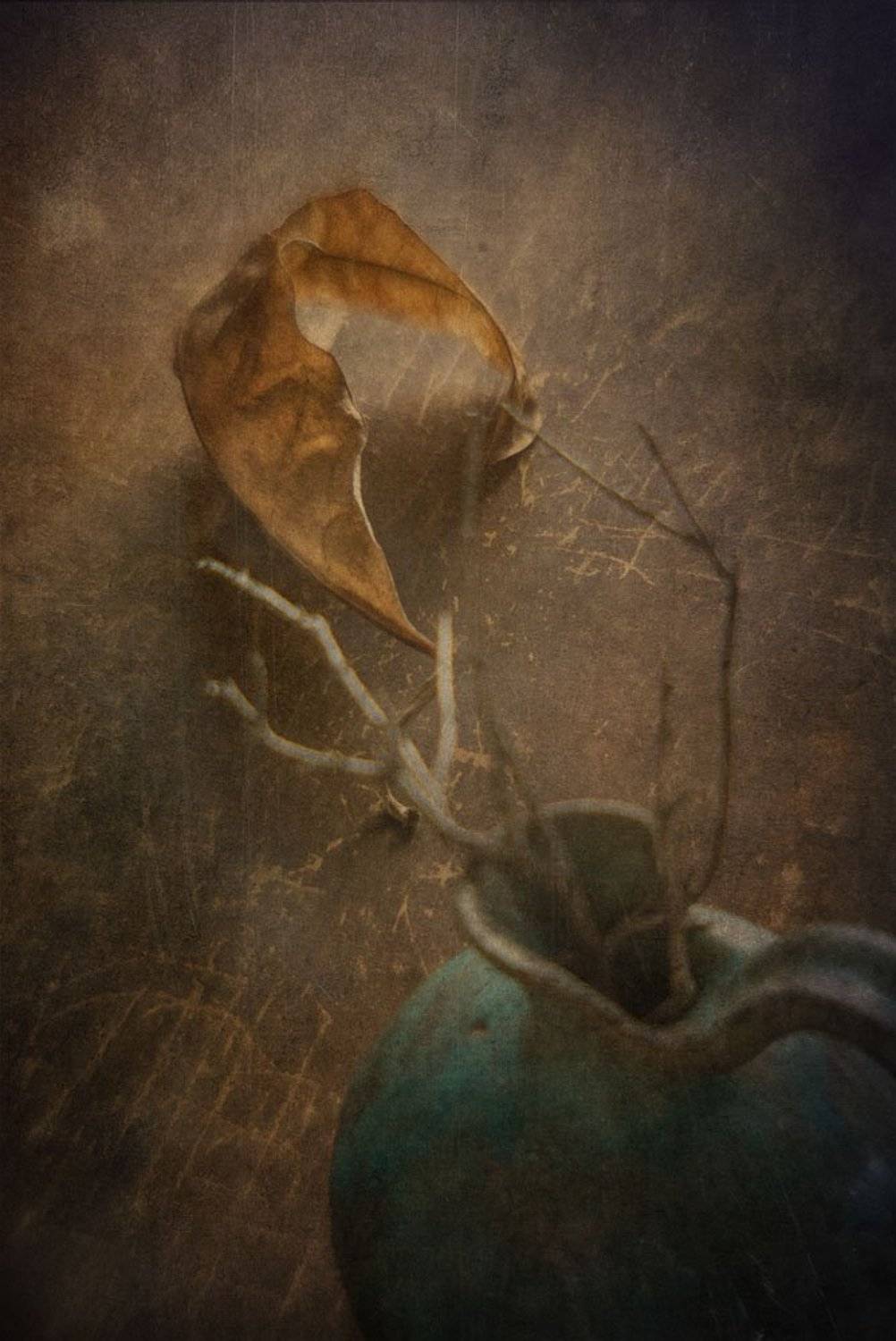 лист, осенний, желтый, кувшин, стол, деревянный, осень, Игорь Токарев