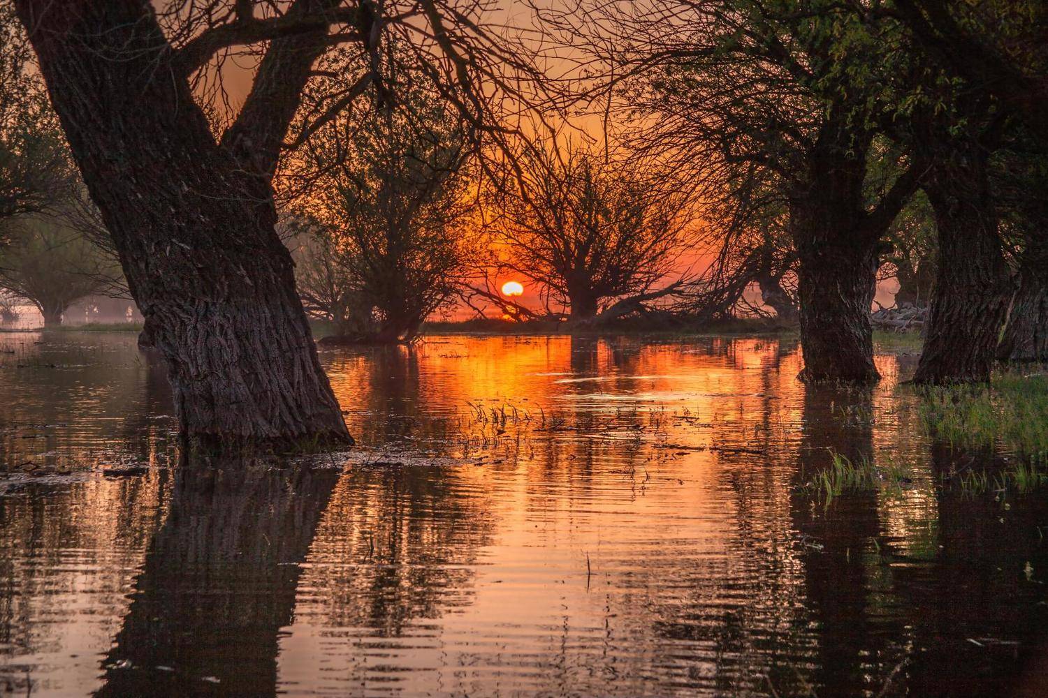места, нереста, рыбы, Сергей цыбизов