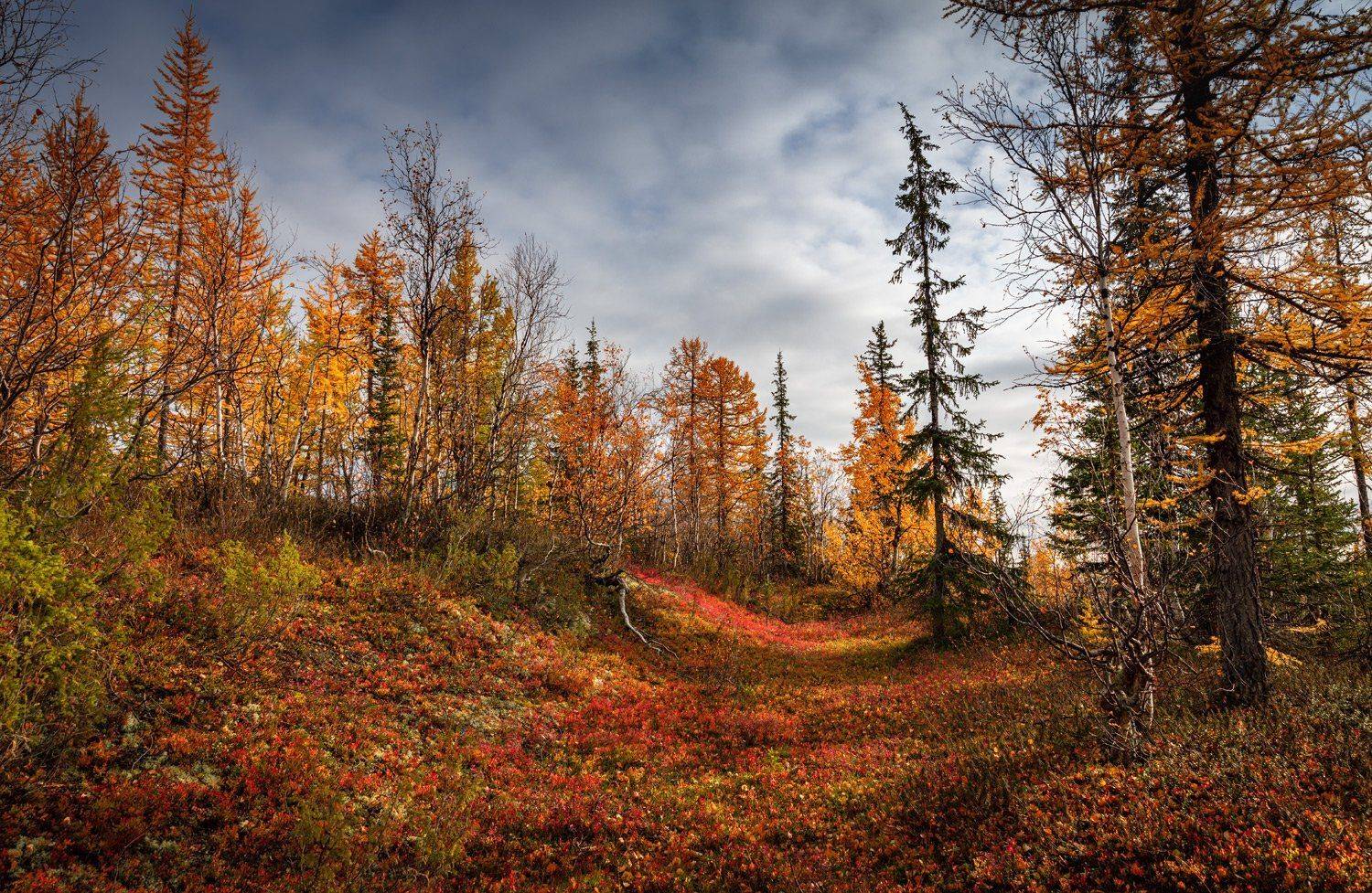, Евгений Кужилев
