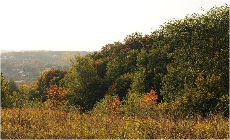 Осень,цвет,деревья Осени начало фото превью