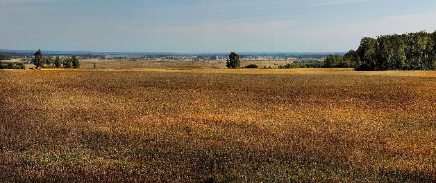 , Бусыгин Борис