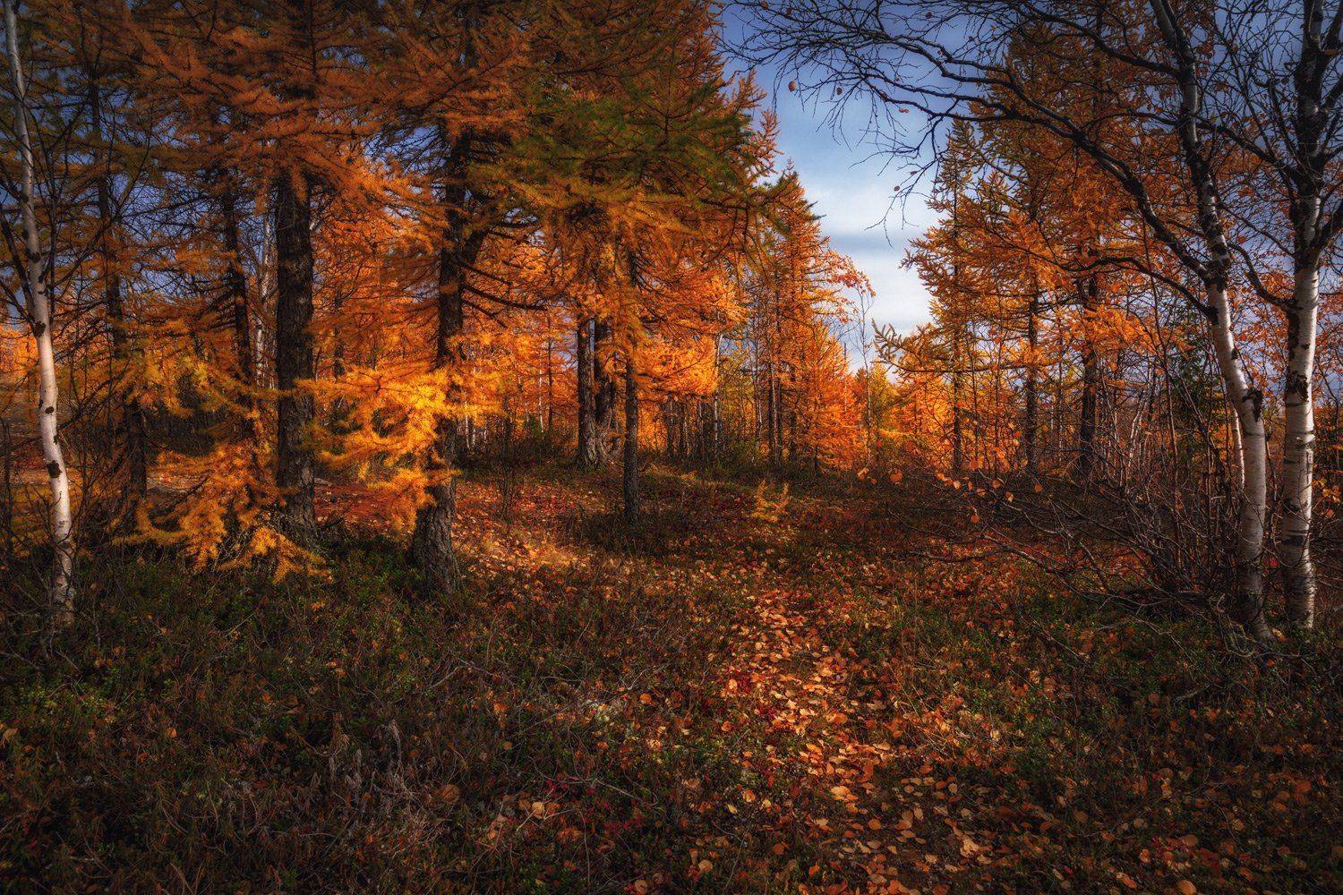, Евгений Кужилев