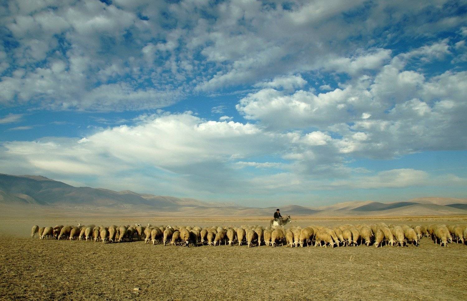 Eber lake, hilmi ayhan