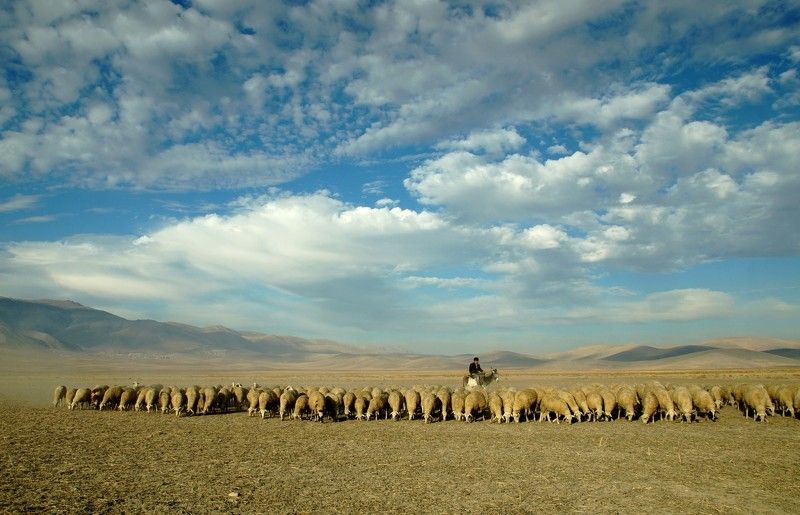 Eber lake Eber Lake фото превью