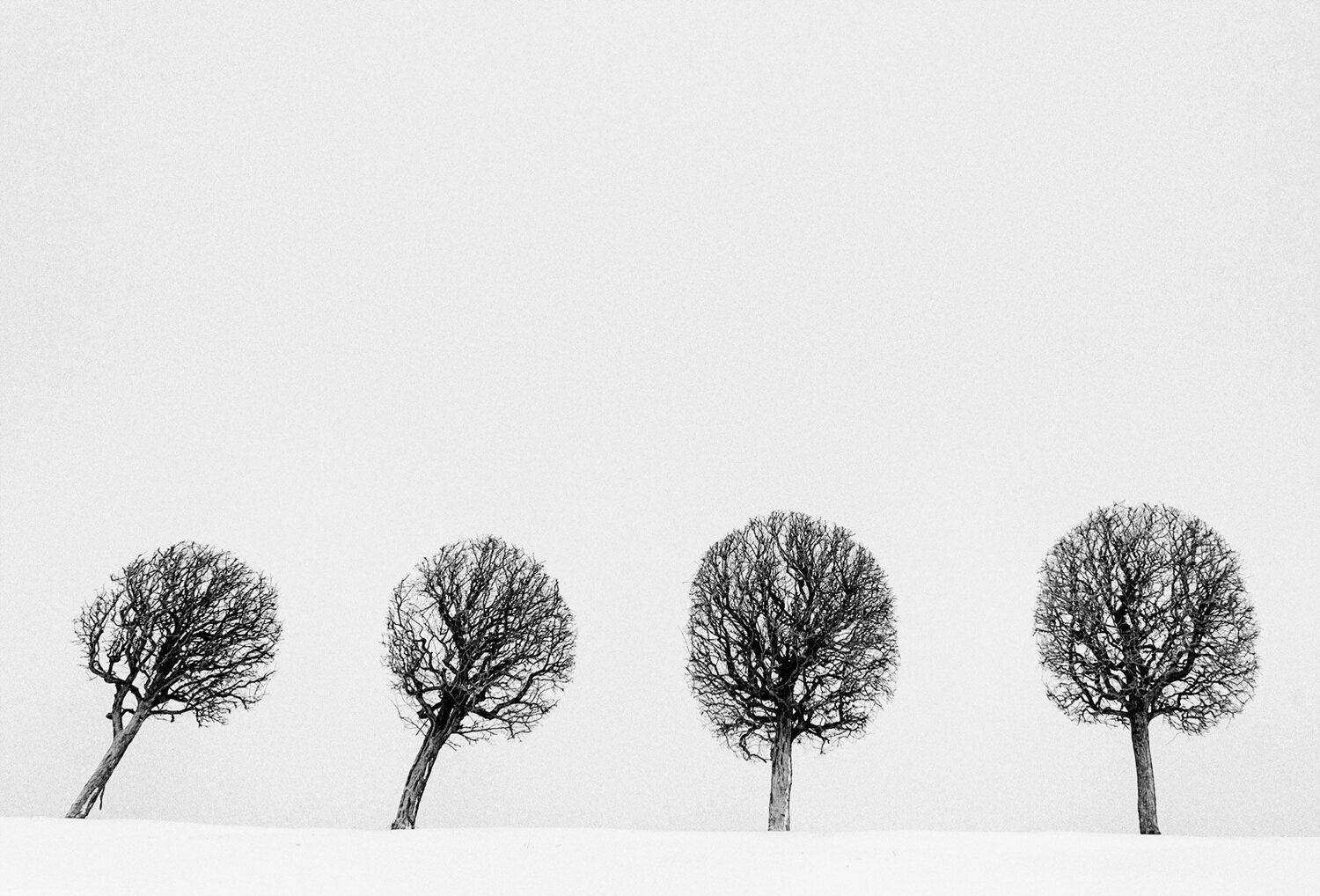 , Алексей Герасимов