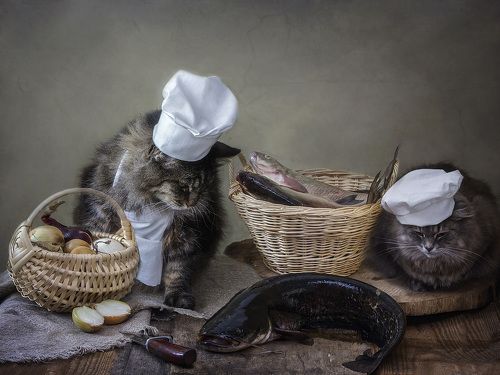 Озадаченные поварята