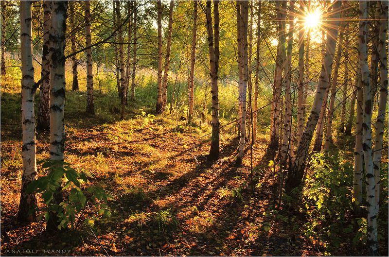 Осенние этюды фото превью