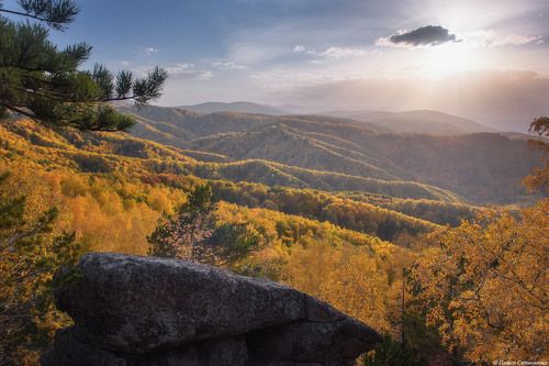 Чергинский
