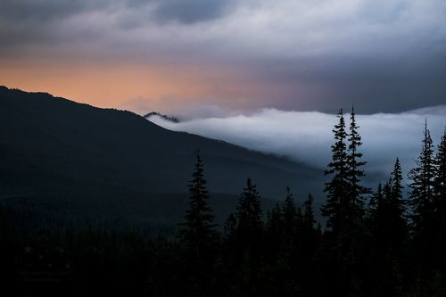 Туманное утро