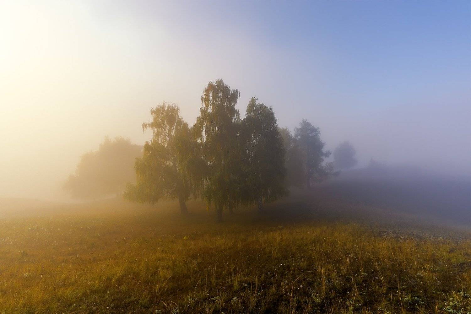 утро, рассвет, восход, туман, лучи, Леонид Максименко