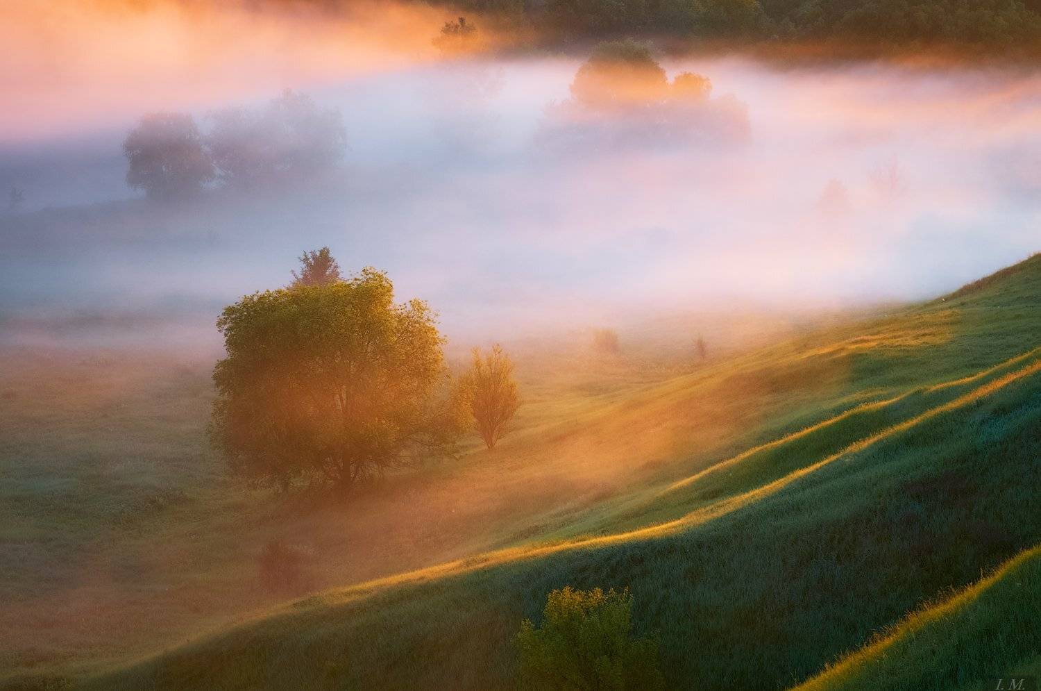 деревья, лето, рассвет, свет, солнечный свет, туман, Утро, холмы, цвета, вид сверху, hills, trees, Misty, colors, view, sunlight, foggy, fog, Landscape, light, morning, nature, Summer, sunrise,, Ivan Maljarenko