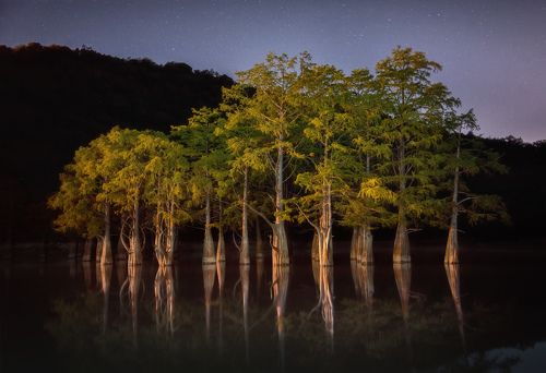 Ночь над Кипарисовым озером