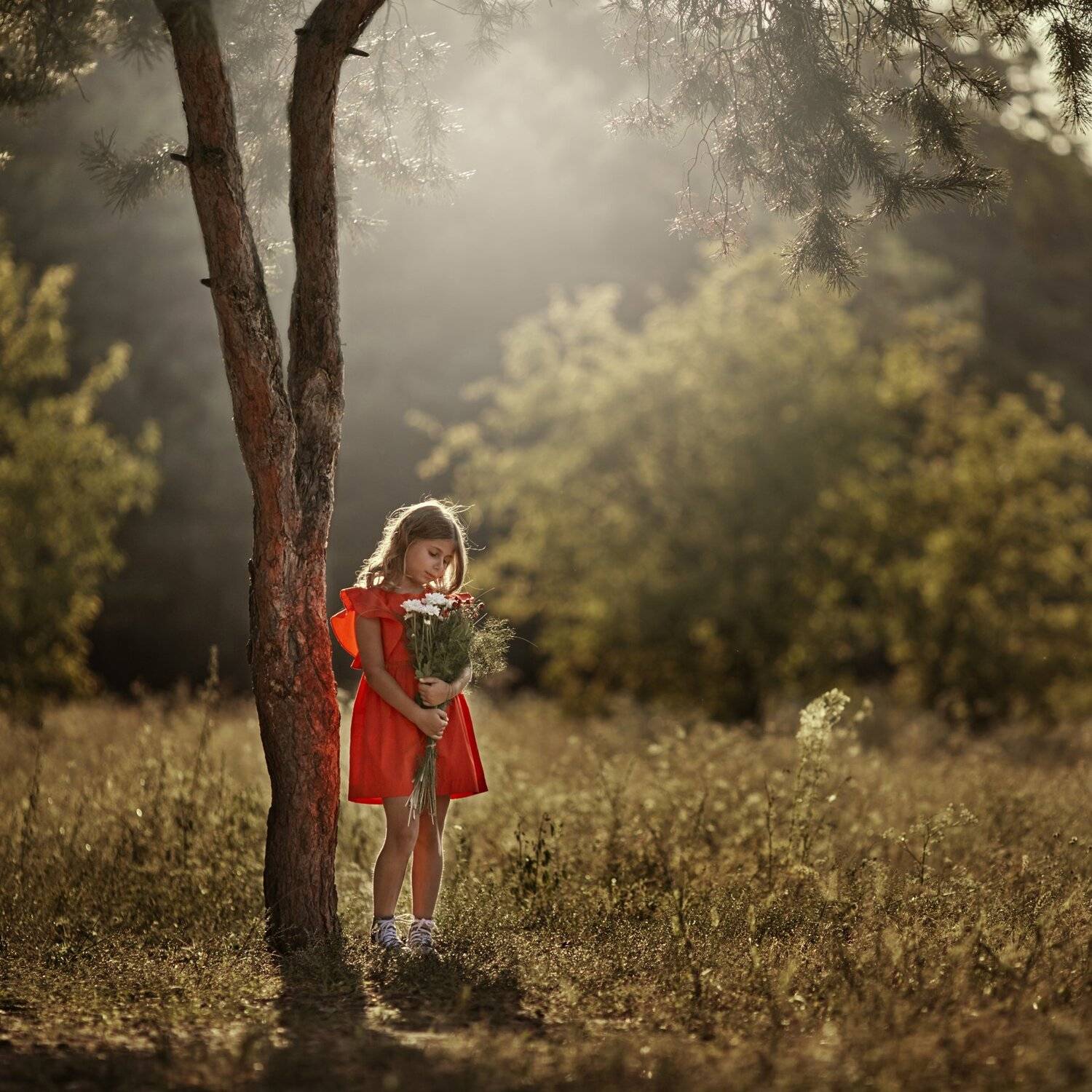 свет, девочка, дети в кадре, дерево, красный, ребенок в кадре, Щепин Сергей