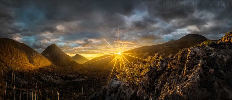 Golden Hour at Zapotitlan Valley фото превью