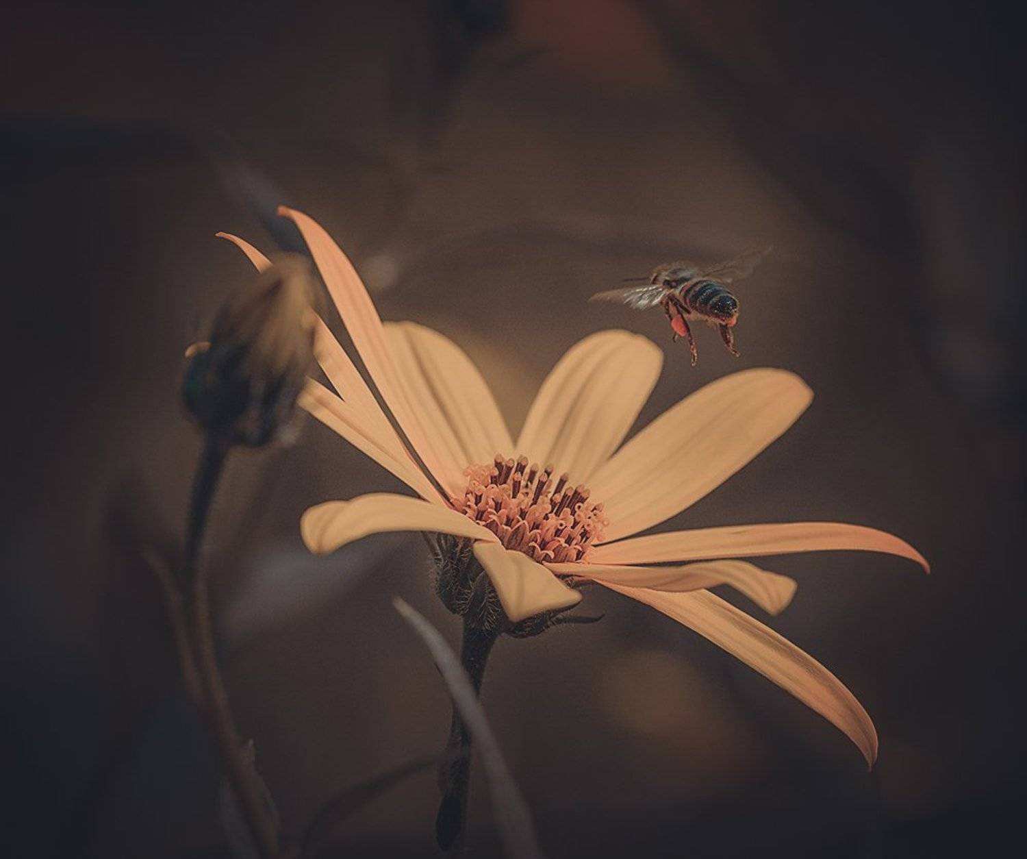 , Анатолий Зверев