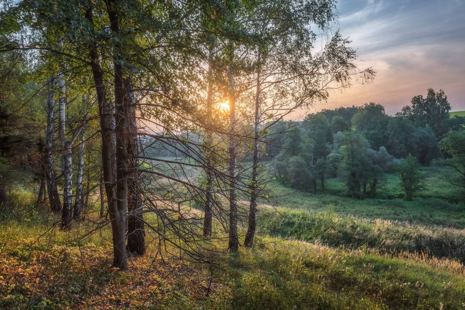 пейзаж, landscape, закат, осень, московская область, sunset, Мартыненко Дмитрий