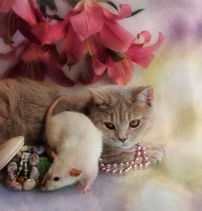 *** из серии \