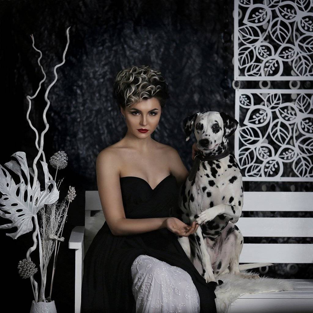 далматинец, далматин, 101 далматинец, Круэлла, Ирина Голубятникова