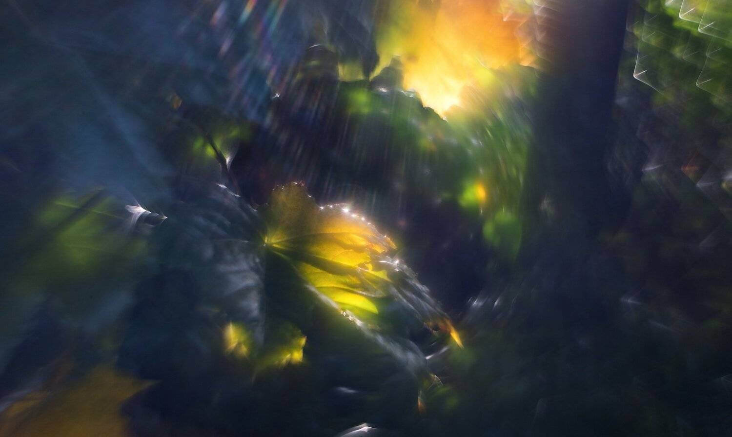 осень, природа, беларусь, лес, Sixten ( Сергей )