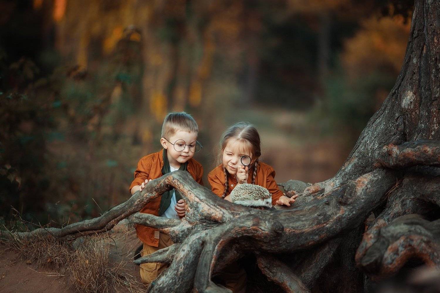 дети, осень, еж, исследователи, поход, Марина Петра