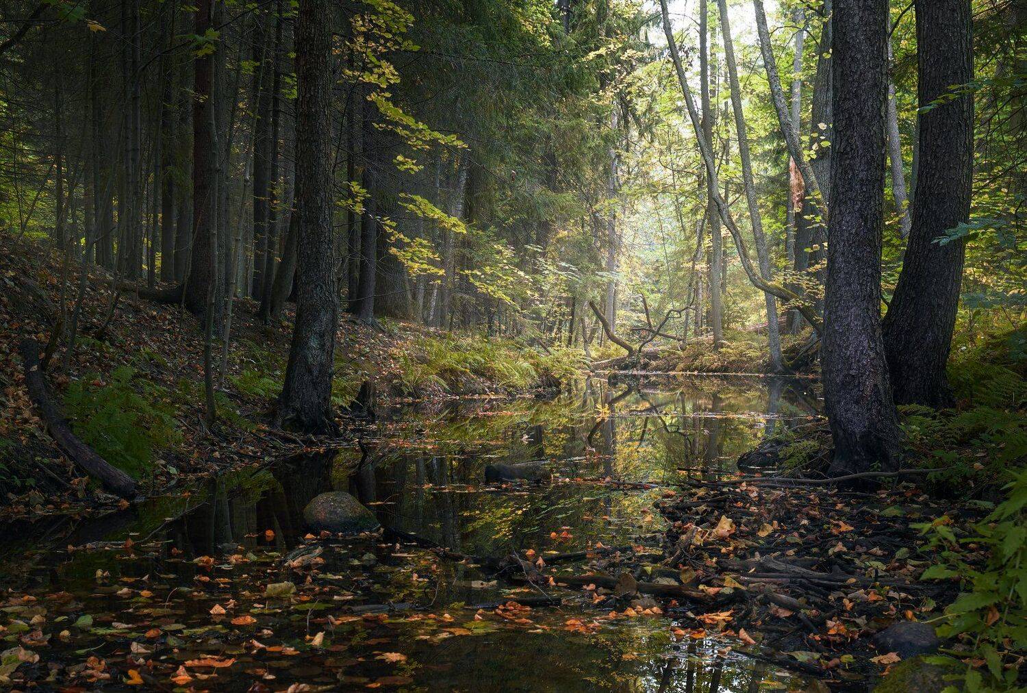 сергиевка, парк, осень, KrubeK