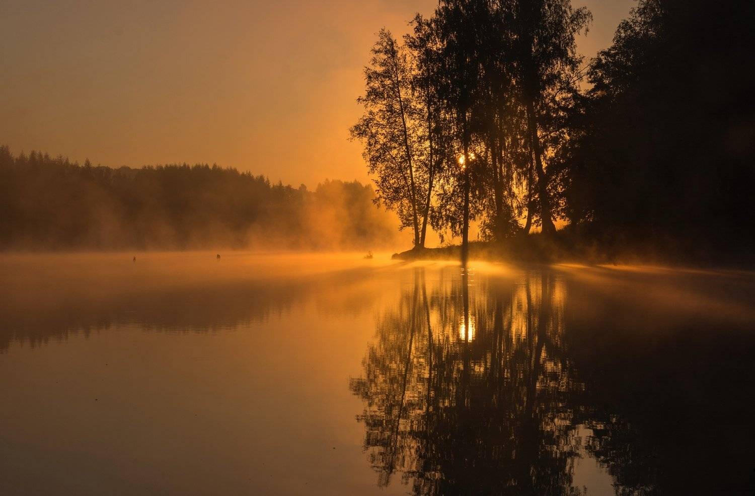 , Руслан Сигушин