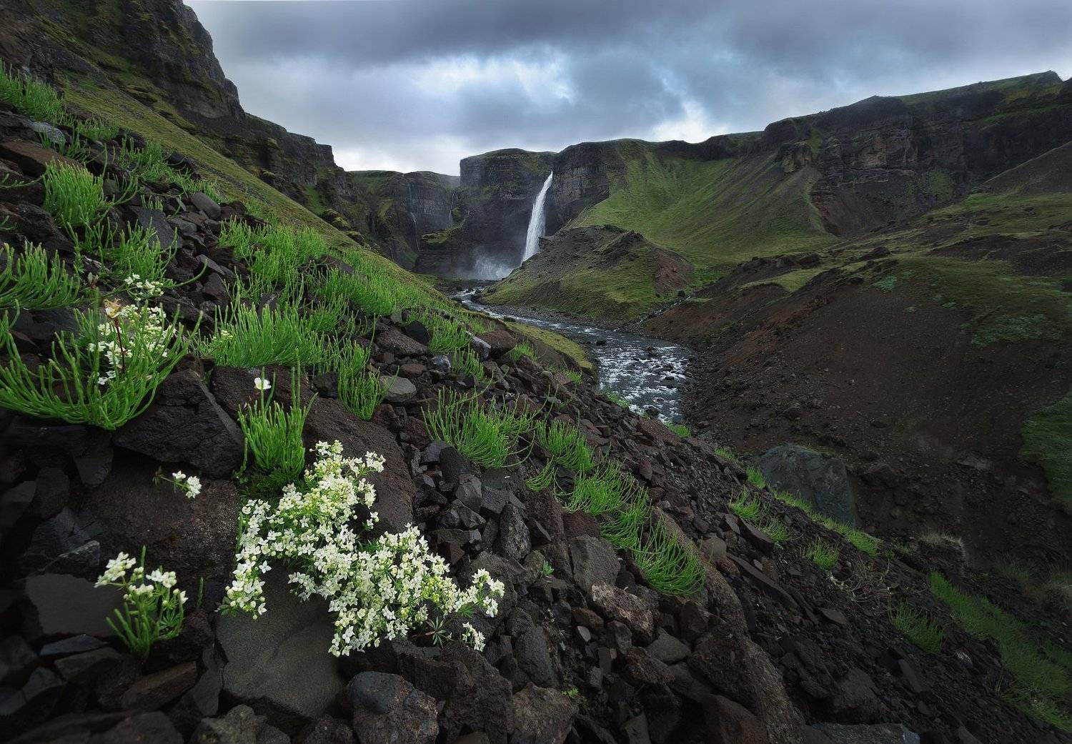 , Андрей Родионов