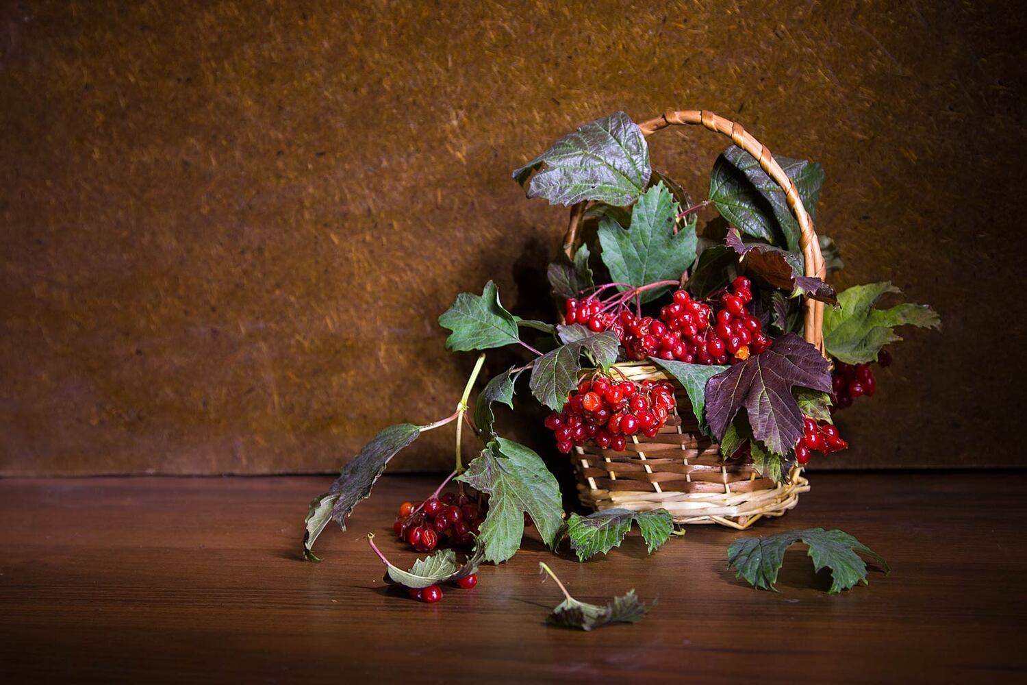 , Александр