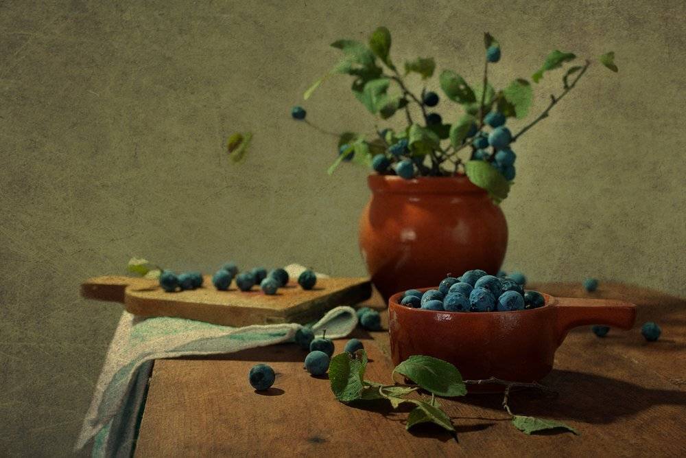 , Анжелика Королева