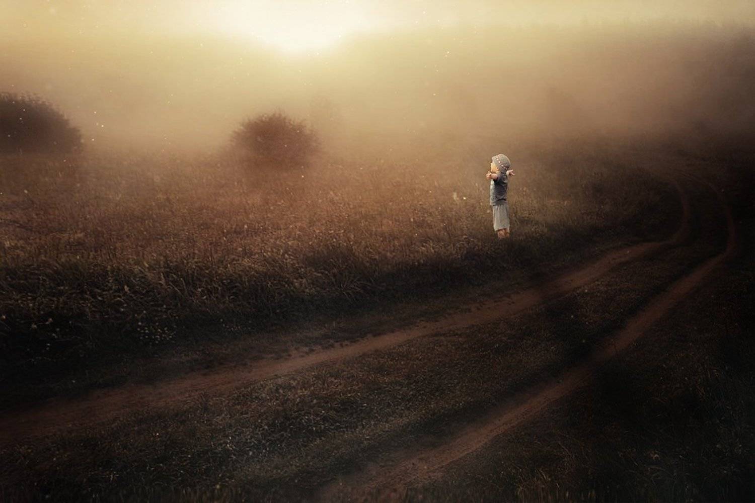 , Владимир Клявин