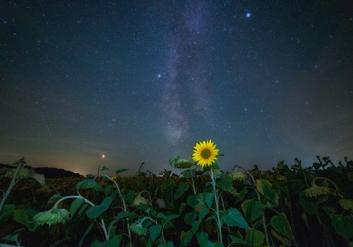 Чужой среди своих