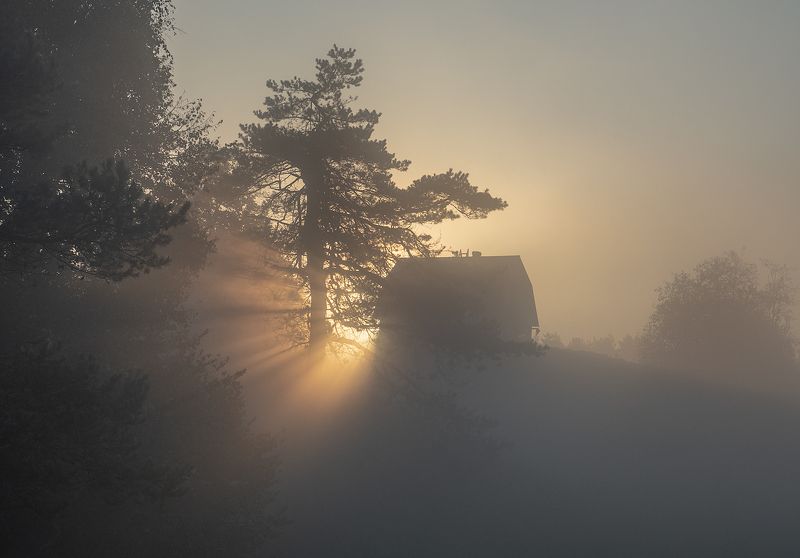 Туманное утро фото превью