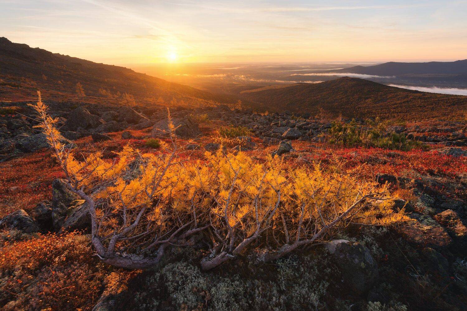 , Михаил Туркеев
