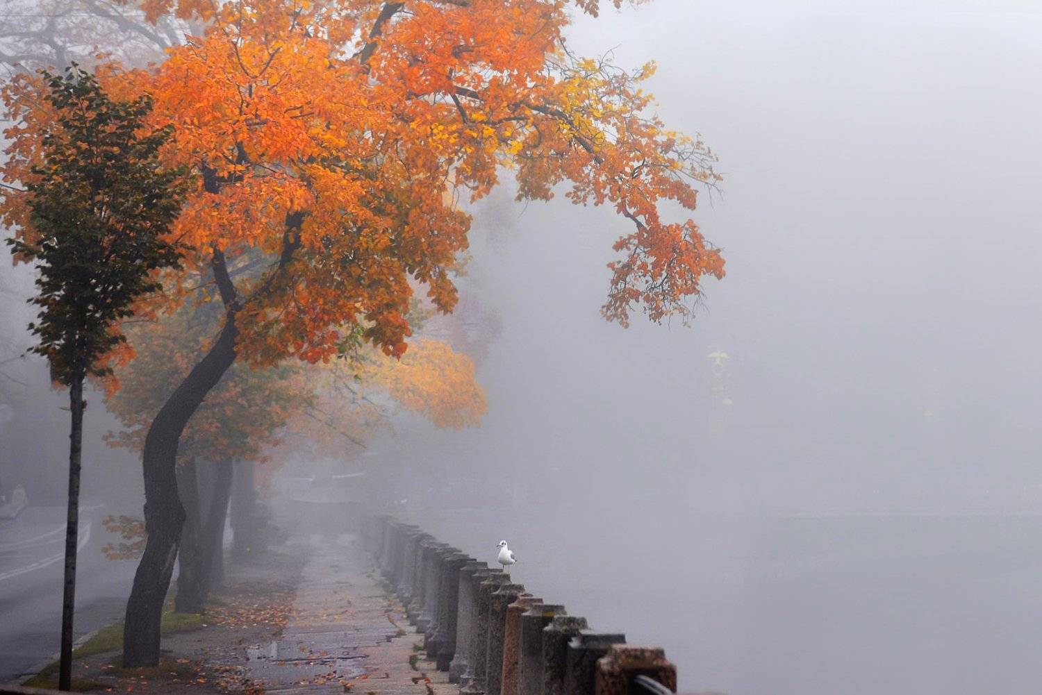 , Эдуард Гордеев